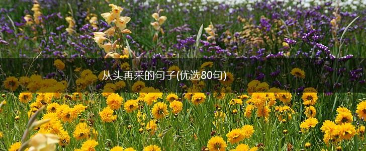 从头再来的句子(优选80句),第1张