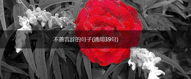 不善言辞的句子(通用39句),第1张