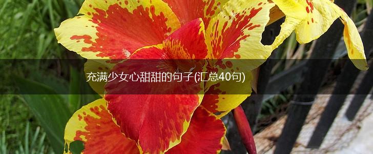 充满少女心甜甜的句子(汇总40句),第1张