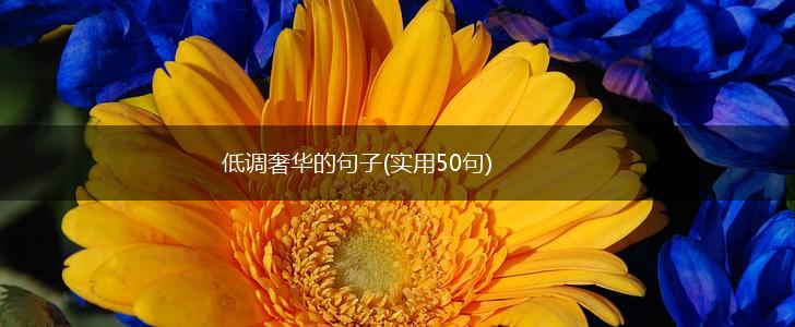 低调奢华的句子(实用50句),第1张