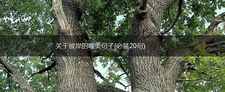 关于彼岸的唯美句子(必备20句),第1张