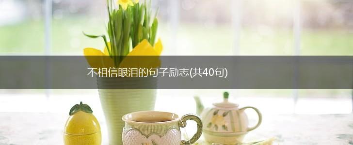不相信眼泪的句子励志(共40句),第1张
