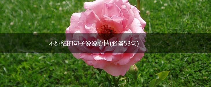 不纠结的句子说说心情(必备53句),第1张