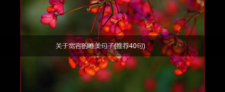 关于宽容的唯美句子(推荐40句),第1张