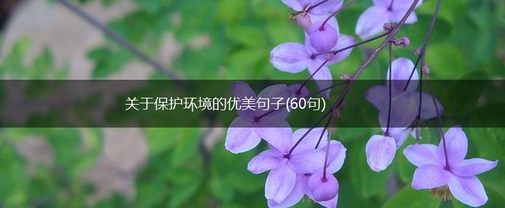 关于保护环境的优美句子(60句),第1张