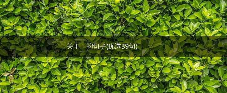 关于一的句子(优选39句),第1张