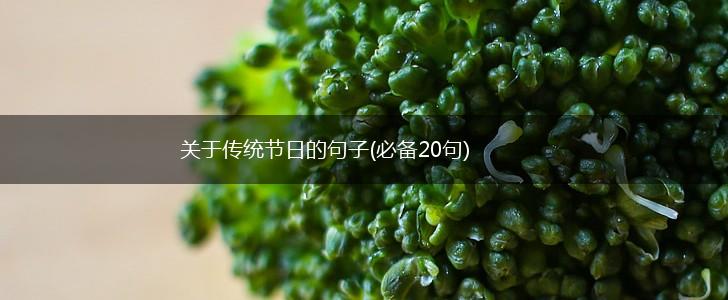 关于传统节日的句子(必备20句),第1张