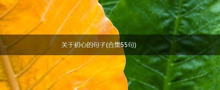 关于初心的句子(合集55句),第1张