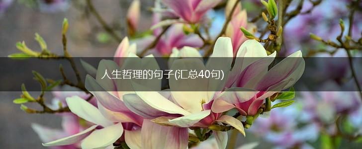 人生哲理的句子(汇总40句),第1张