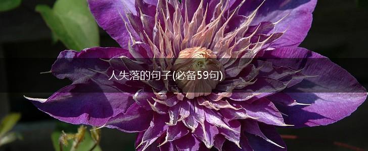人失落的句子(必备59句),第1张