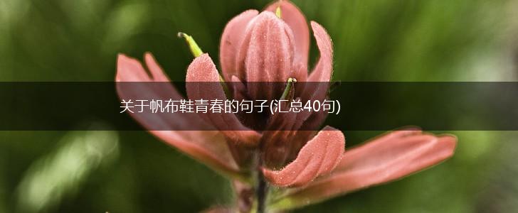 关于帆布鞋青春的句子(汇总40句),第1张