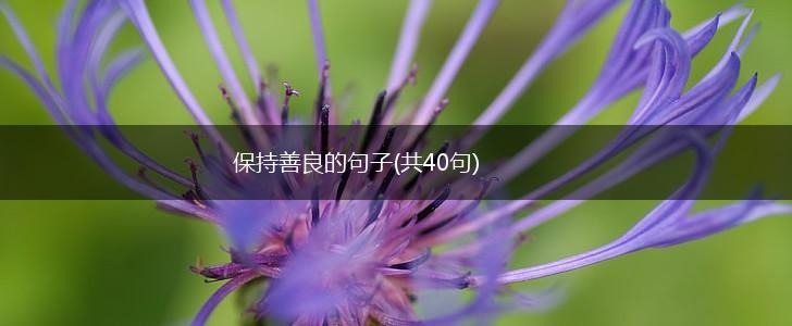 保持善良的句子(共40句),第1张