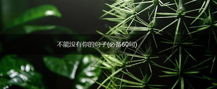 不能没有你的句子(必备60句),第1张