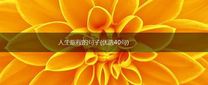 人生旅程的句子(优选40句),第1张