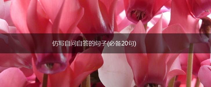 仿写自问自答的句子(必备20句),第1张