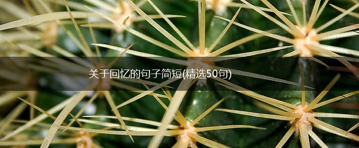 关于回忆的句子简短(精选50句),第1张