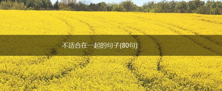 不适合在一起的句子(80句),第1张