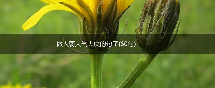 做人要大气大度的句子(60句),第1张