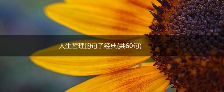 人生哲理的句子经典(共60句),第1张