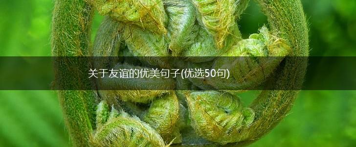 关于友谊的优美句子(优选50句),第1张