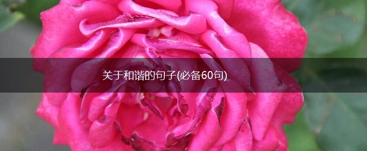 关于和谐的句子(必备60句),第1张