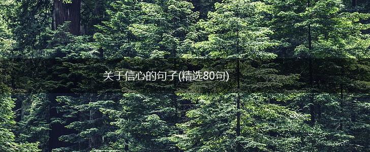 关于信心的句子(精选80句),第1张