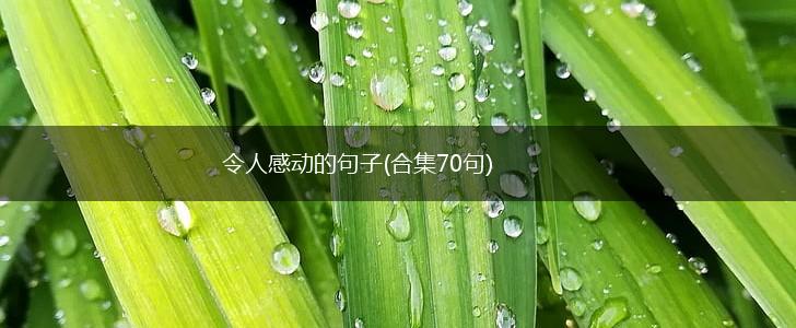 令人感动的句子(合集70句),第1张