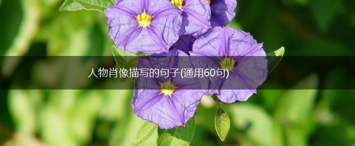人物肖像描写的句子(通用60句),第1张