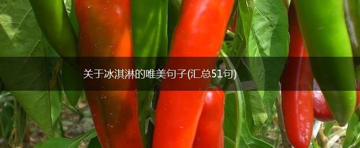 关于冰淇淋的唯美句子(汇总51句),第1张