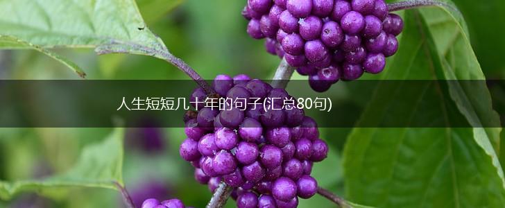 人生短短几十年的句子(汇总80句),第1张