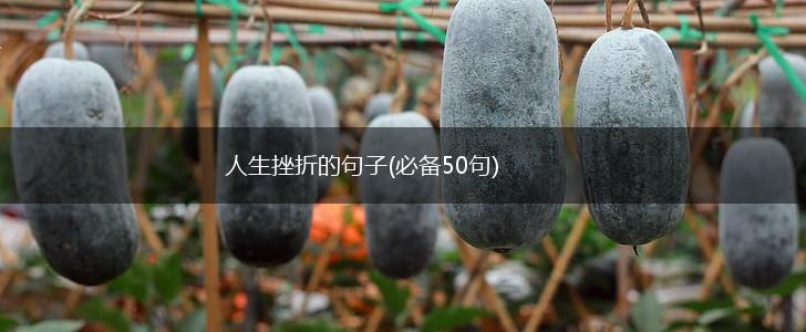 人生挫折的句子(必备50句),第1张