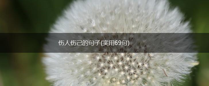 伤人伤己的句子(实用69句),第1张