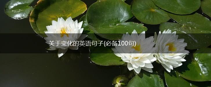 关于变化的英语句子(必备100句),第1张