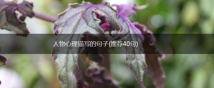 人物心理描写的句子(推荐40句),第1张