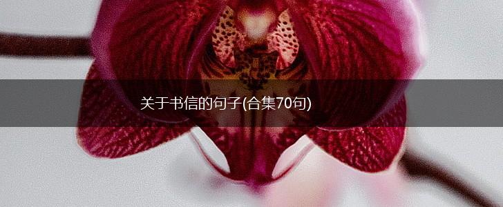 关于书信的句子(合集70句),第1张
