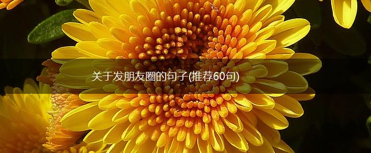 关于发朋友圈的句子(推荐60句),第1张