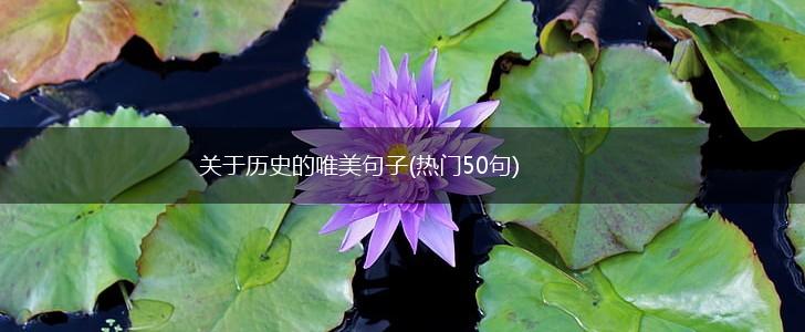关于历史的唯美句子(热门50句),第1张