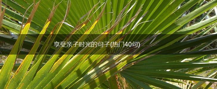 享受亲子时光的句子(热门40句),第1张