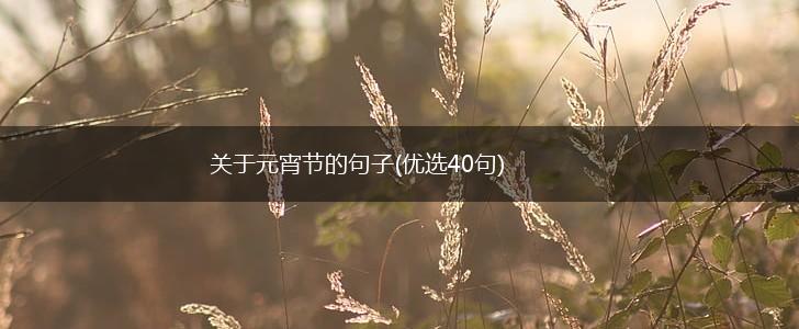 关于元宵节的句子(优选40句),第1张