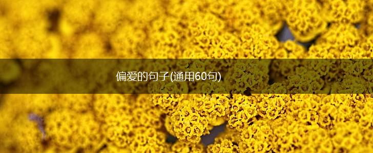 偏爱的句子(通用60句),第1张