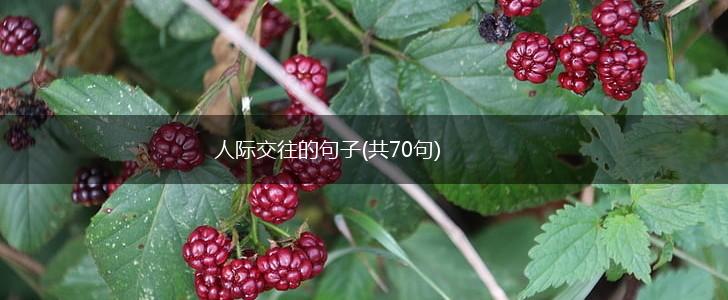 人际交往的句子(共70句),第1张