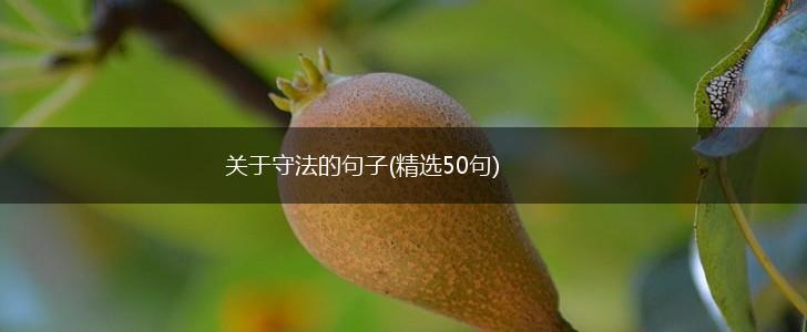 关于守法的句子(精选50句),第1张
