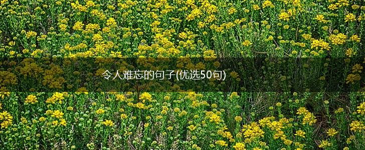 令人难忘的句子(优选50句),第1张