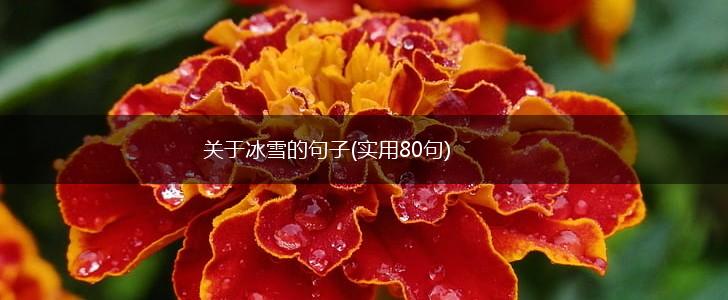 关于冰雪的句子(实用80句),第1张