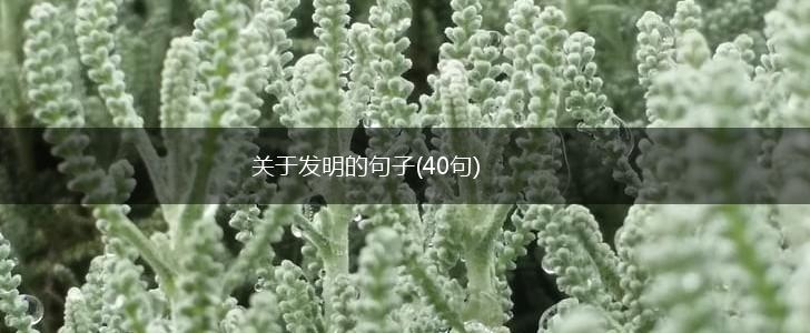 关于发明的句子(40句),第1张