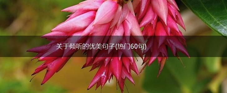 关于倾听的优美句子(热门60句),第1张
