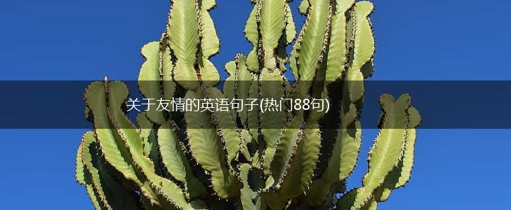关于友情的英语句子(热门88句),第1张