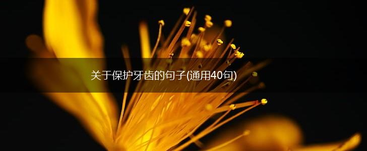 关于保护牙齿的句子(通用40句),第1张