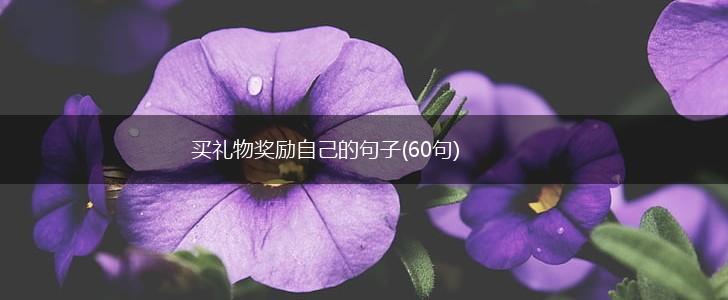 买礼物奖励自己的句子(60句),第1张