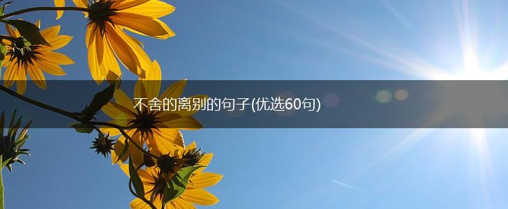 不舍的离别的句子(优选60句),第1张